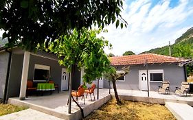 Celtis Shade House