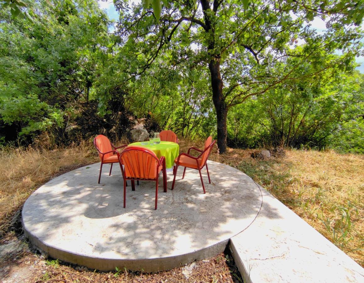 Villa Celtis Shade House à Virpazar Extérieur photo